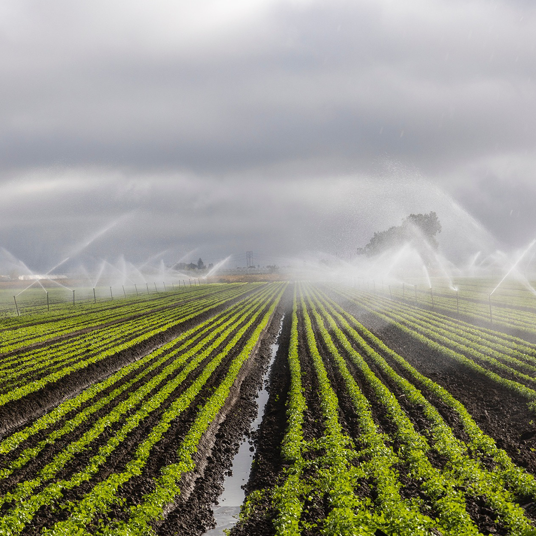 Empowering Agricultural Growth in Africa FloTek