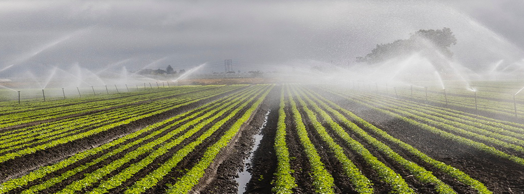 Empowering Agricultural Growth in Africa