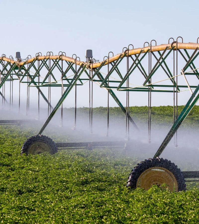 Agriculture